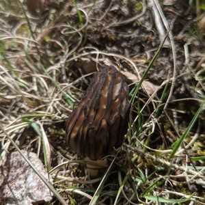 Meet your Posher, Heidi